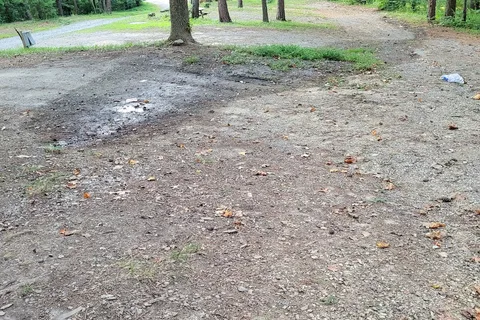 Goose Dam Campground