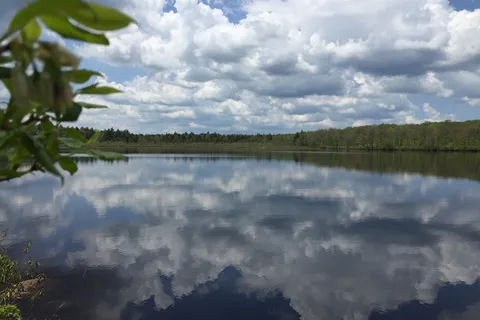 Tobyhanna State Park