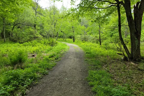 Tobyhanna State Park