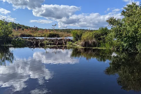 Tobyhanna State Park