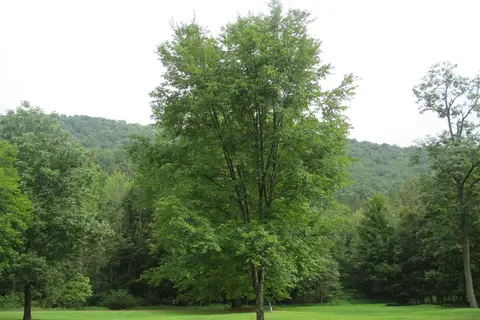 Big Run State Park