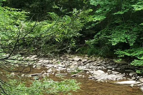 Big Run State Park