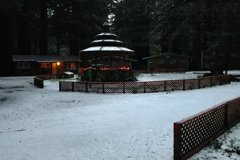 Emerald Forest Cabins and RV