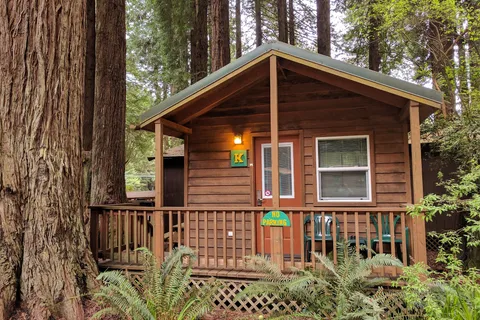 Emerald Forest Cabins and RV