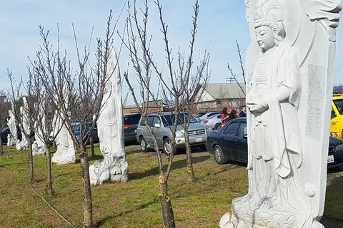 Maple Leaf RV Park