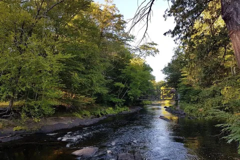 Black River Wilderness Park