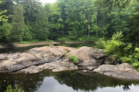 Black River Wilderness Park