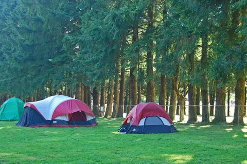 Thunderbird RV and Camping Resort