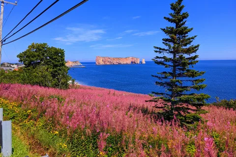 Camping Du Phare A Perce