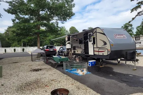 Driftwood Too! Camping Resorts