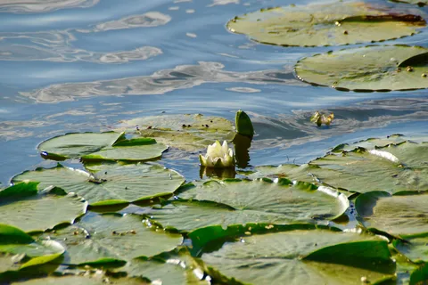 Lake Anita State Park