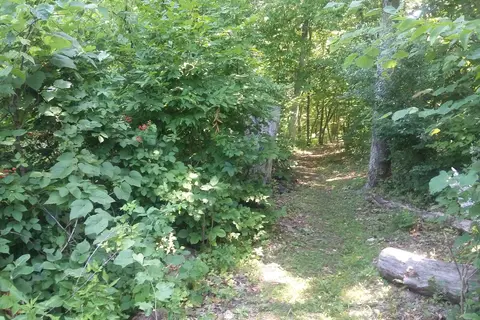 Crowder State Park