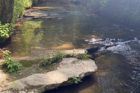 Thunder Canyon Campground RV Park