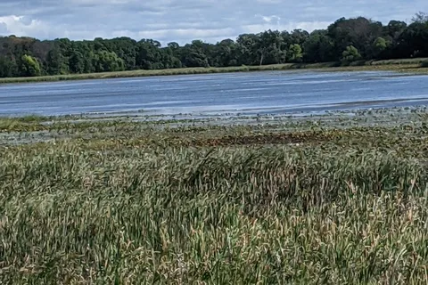 Kozy Oaks Kamp