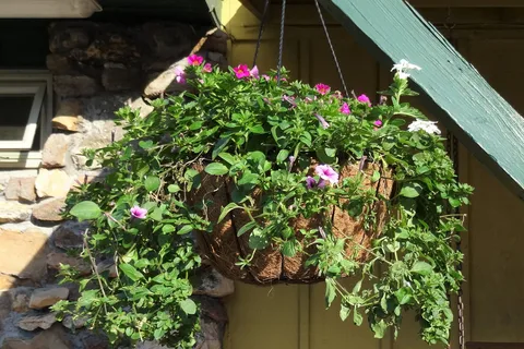 Nashville North RV Resort