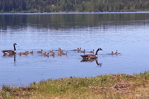 Ten Mile Lake Provincial Park