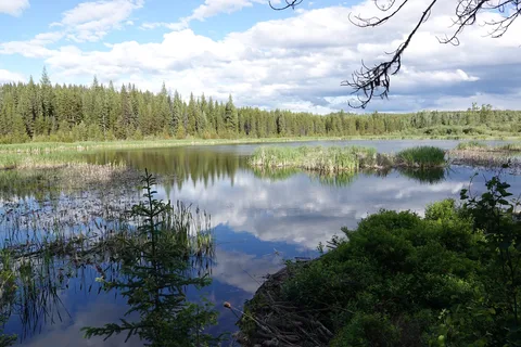 Ten Mile Lake Provincial Park