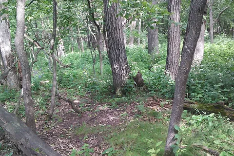 Fort Defiance State Park