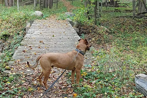 Fort Defiance State Park