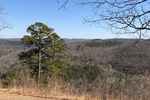 Buffalo Point Campground - Buffalo National River