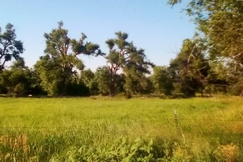 Ford County State Fishing Lake