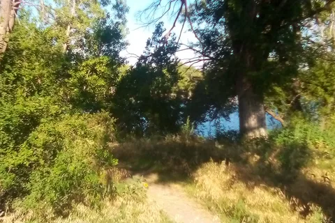Ford County State Fishing Lake