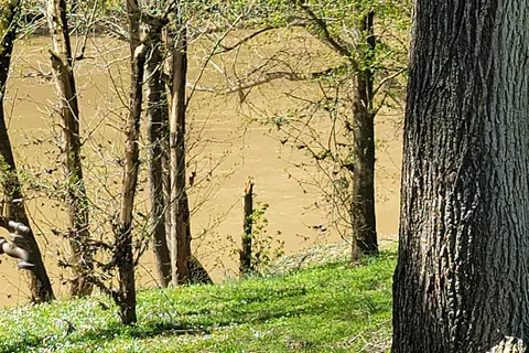 Camp on the Kentucky