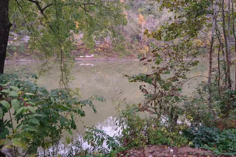 Camp on the Kentucky