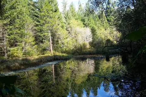 Holiday Farm RV Resort