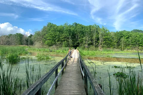 Selkirk Provincial Park