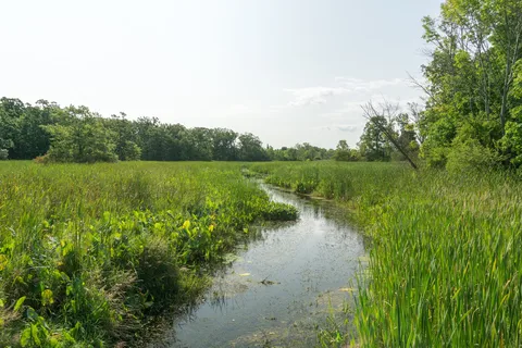 Selkirk Provincial Park