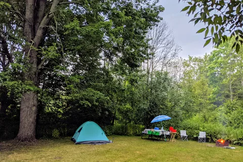 Selkirk Provincial Park