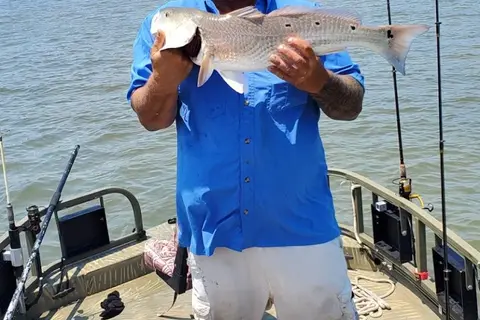 Cedar Creek Campground and Marina