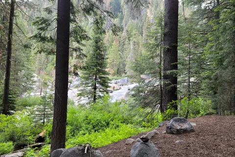Lodgepole Campground - Sequoia National Park