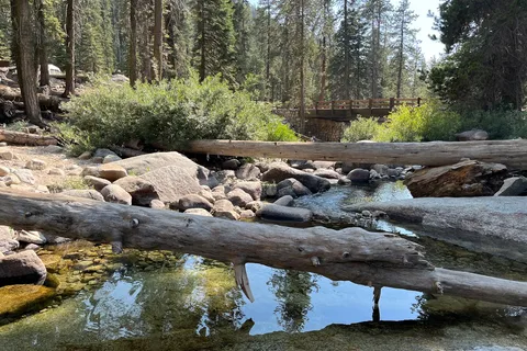 Lodgepole Campground - Sequoia National Park