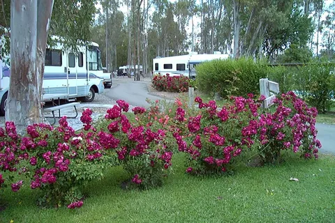 Midway RV Park