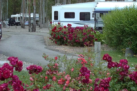 Midway RV Park