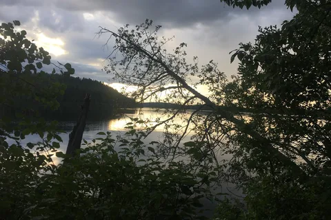 Bridge Lake Provincial Park Campground