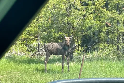 Bridge Lake Provincial Park Campground