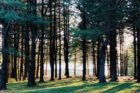 Campbell Cove RV Resort & Campground