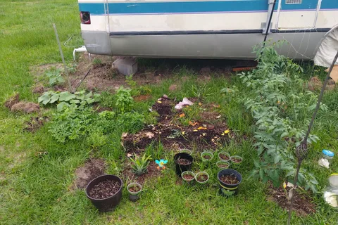 Treeside Mobile Home and RV Park