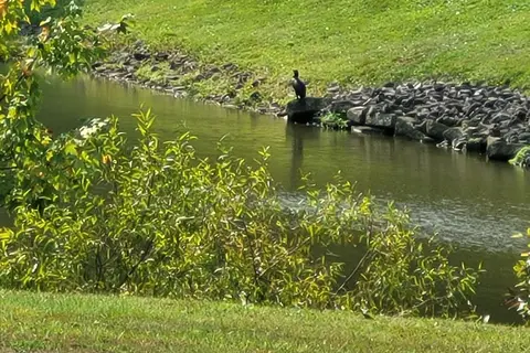 Meadow Lake Campground