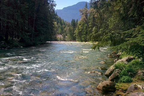 Rosebery Provincial Park