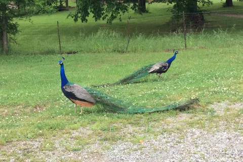 R and R RV Campground