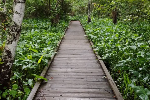 Fairview Riverside State Park