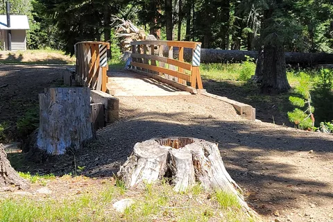 Island Camp - Department of Natural Resources