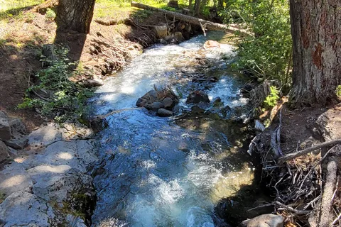 Island Camp - Department of Natural Resources