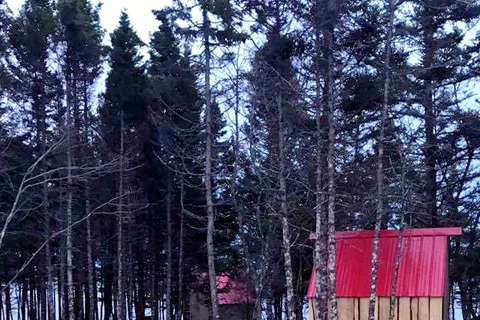 Norse Cove Camping