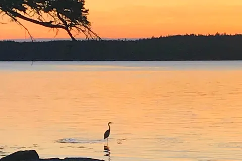 Norse Cove Camping