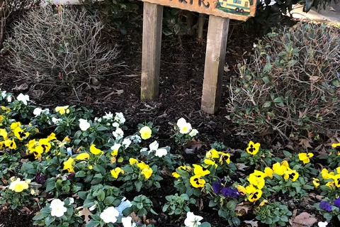 Elmore RV Park and Campground